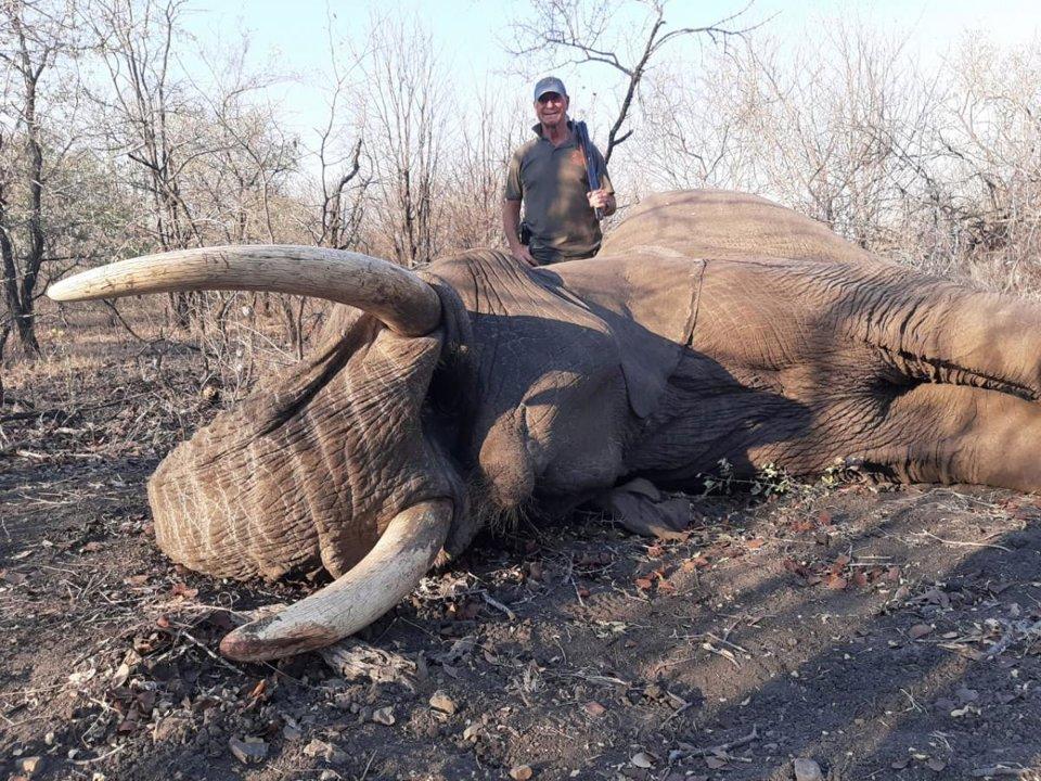 Hunting Near Hluhluwe-iMfolozi: Tradition, Conservation, and Controlled Opportunities