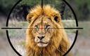 Trophy hunting: Import ban

While the tourist season is in full swing, animal welfare NGOs around the globe call for a ban on hunting trophy imports. Special attention is given to the U.S. and EU travellers, who are the major clients of modern taxidermists.

In a joint position manifesto 137 conservation and animal protection organisations from all around the world, including 45 NGOs from the African continent, took a stand against trophy hunting and urged lawmakers to ban imports.

“Trophy hunting stands out among the worst forms of wildlife exploitation and is neither ethical nor sustainable. In the face of the man-made global biodiversity crisis, it is unacceptable that exploitation of wildlife simply for acquiring a hunting trophy is still permitted and that trophies can still be legally imported. It is high time that governments end this detrimental practice” Mona Schweizer, Ph.D., from Pro Wildlife said.

The statistics point to a huge ongoing crisis in the field of animal conservation: from 2014 to 2018 almost 125,000 trophies of species protected under CITES - the Convention on International Trade in Endangered Species - were imported globally, with the U.S. and the EU clients leading in fetishism, ensuring flows of commissions to the taxidermists.