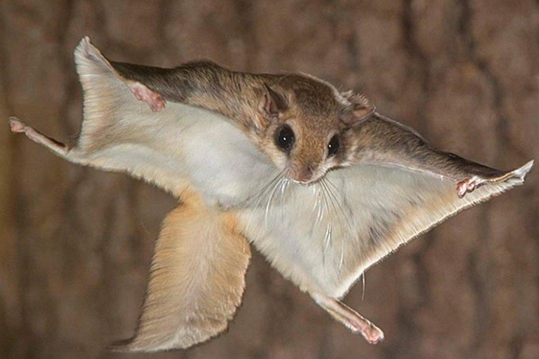 Photo from news post