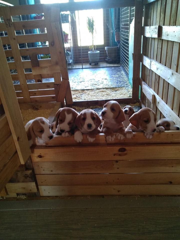 Photo from news post