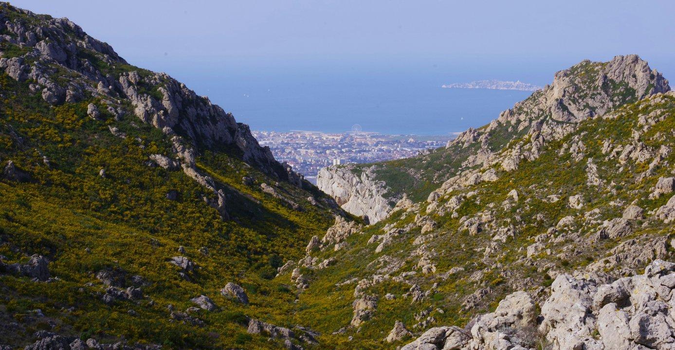 La chasse en CÔTE-D'OR: Traditions régionales, biodiversité locale, opportunités cynégétiques et législation actuelle
