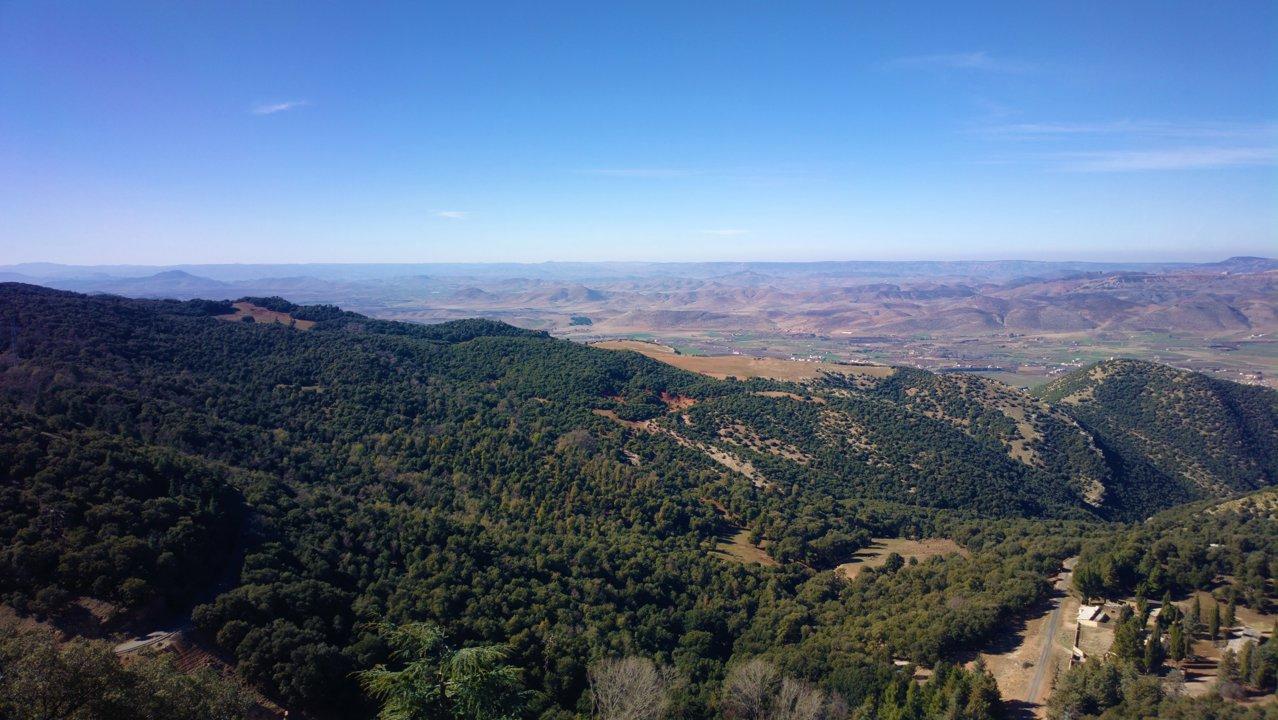 Ifrane National Park Regulations: Hunting Is Prohibited - What A Hunter Needs To Know.