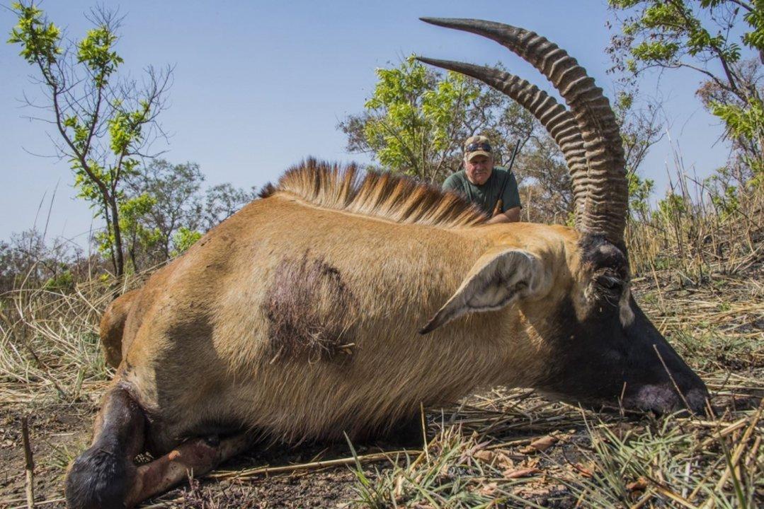 Hunting in Centre-East: Transitional savannahs, Gourmantché hunting rites, small game, sacred groves, and community-based regulation