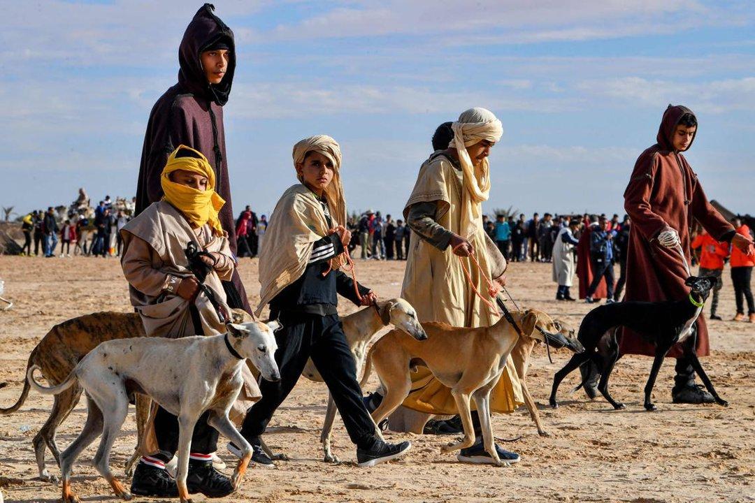 Coastal Hunting Grounds of MAHDIA: Hunting Seasons, Laws and Demographics, Geographical Aspects of Tunisia