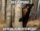 Белорусские медведи снова нападают на пчелиные пасеки
В небольшой деревушке Солодухи в Витебской области, где проживает около десятка человек, произошел очередной инциден