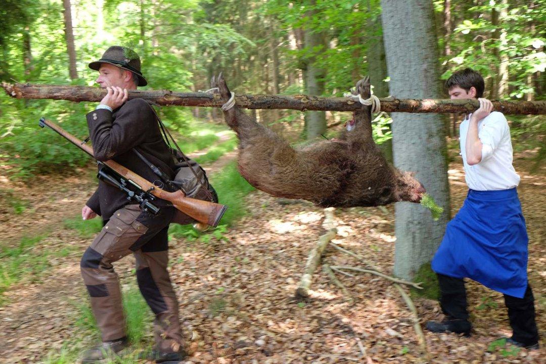 Jagd im ODENWALD: Jäger und Demografie der Region, Wildarten, Jagdmethoden, Traditionen und gesetzliche Grundlagen der Jagd