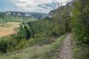 Tout sur la Chasse en OCCITANIE: Espèces de gibier, périodes de chasse, associations et clubs locaux, réglementation régionale

L’Occitanie, vaste région du sud de la France, offre une mosaïque de terrains de chasse allant des sommets pyrénéens aux étangs méditerranéens. Entre traditions ancestrales et réglementations modernes, découvrez pourquoi cette région attire des chasseurs du monde entier. Voici un guide complet pour comprendre la chasse en Occitanie.

Géographie et Atouts Naturels 
L’Occitanie combine des écosystèmes uniques : 
- Pyrénées: Refuges pour l’isard, le chamois, et le bouquetin. Le Parc National des Pyrénées abrite également des ours bruns. 
- Massif Central: Forêts de chênes et de hêtres (ex : Forêt de Grésigne) propices au cerf élaphe et au sanglier. 
- Camargue Gardoise: Zones humides classées Natura 2000 pour les canards sauvages, oies cendrées, et bécassines. 
- Garrigues et vignobles: Terrains ouverts pour le lièvre et la perdrix rouge. 

Particularités de la Chasse en Occitanie 
- Chasse en montagne: Utilisation de chiens légers (ex : Braque de l’Ariège) pour les terrains escarpés. 
- Gestion du sanglier: Espèce prolifique, avec un quota annuel de 30 000 têtes pour limiter les dégâts agricoles. 
- Chasse aux oiseaux migrateurs: Affût dans les paluds de la Narbonnaise (Aude) pour les vanneaux huppés. 

Démographie des Chasseurs 
Avec 65 000 chasseurs (2023), l’Occitanie compte : 
- 15 000 dans le Gard. 
- 12 000 dans les Pyrénées-Orientales. 
- 10 000 en Haute-Garonne. 
- 8 000 dans l’Aude. 
La majorité a plus de 45 ans, mais les initiatives comme « Cap Jeunes Chasseurs » (FDC 31) attirent les nouvelles générations. 

Types de Chasse et Gibier 
1. Gros Gibier: 
   - Isard (Pyrénées), sanglier, cerf (Massif Central), mouflon (Aude). 
2. Petit Gibier: 
   - Lièvre, perdrix rouge, faisan (élevage régulé). 
3. Gibier d’Eau: 
   - Canard souchet, bécasse des bois (Camargue). 
4. Chasse à l’arc: Autorisée pour le chevreuil et le sanglier. 

Saisons de Chasse 
- Sanglier: De septembre à février (battues les weekends). 
- Isard et chamois: De juin à octobre (quota de 500 têtes/an dans les Pyrénées). 
- Migrateurs: D’octobre à janvier (canards, bécassines). 
- Petit gibier: De septembre à fin janvier. 
Consultez les arrêtés des préfectures (ex : Ariège, Lozère) pour les dates précises. 

 Associations et Clubs 
- Fédération Régionale des Chasseurs d’Occitanie: Coordination des 13 FDC départementales, gestion de 1,2 million d’ha. 
- Club « Chasseurs des Pyrénées » : Spécialisé dans le grand gibier alpin. 
- Association « Paloumayres de Camargue »: Chasse traditionnelle aux oiseaux migrateurs avec appeaux. 

Réglementation
- Permis: Valide 5 ans, coût de 200 € + validation annuelle. 
- Zones protégées: Parc National des Pyrénées (interdiction de chasse), Natura 2000 (autorisation spéciale). 
- Sécurité: Port du gilet orange obligatoire, distance de 150 m des habitations. 

Traditions Cynégétiques
- Fête de la Saint-Hubert: Célébrée en novembre avec des messes en plein air et des repas de gibier (civet de sanglier, salmis de bécasse). 
- Chasse à la palombe: Pratique traditionnelle dans les Landes de Gascogne (Haute-Garonne). 
- Trophées: Concours de bois de cerf lors des foires locales (ex : Fête de la Chasse à Rodez). 

Faits intéressants
- L’ours brun des Pyrénées: Réintroduit en 1996, il compte aujourd’hui 50 individus, source de débats entre éleveurs et écologistes. 
- Projet « Vautour fauve »: Soutenu par les chasseurs, il vise à réintroduire l’espèce dans l’Aveyron. 

L’Occitanie offre une diversité de paysages et de gibiers inégalée, alliant défis techniques et respect des traditions. 