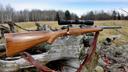 Best Hunting Rifles: Meet The Top 5 On The Planet Today

Weatherby Vanguard
Browning BAR
Remington Model 700
Ruger American Rifle
Winchester Model 70