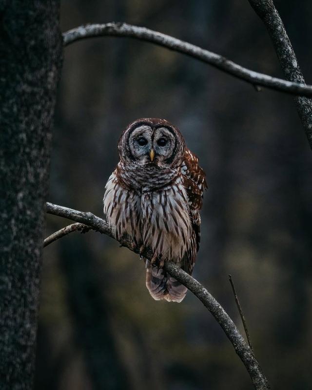 Photo from news post