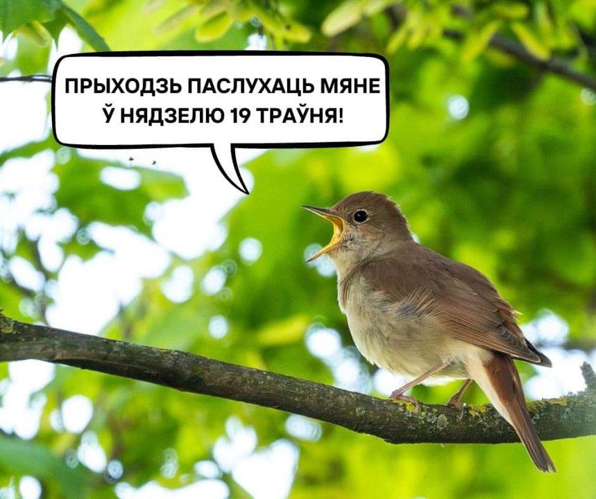 Repost image