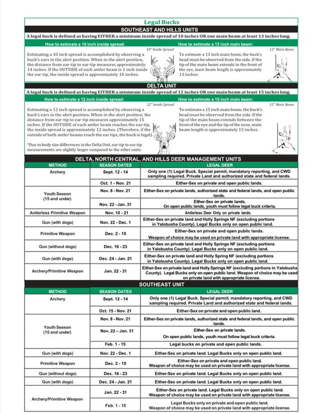 Hunting Seasons in Mississippi 2025–26: Big Game and Small Game, Licenses, and Regulations Guide