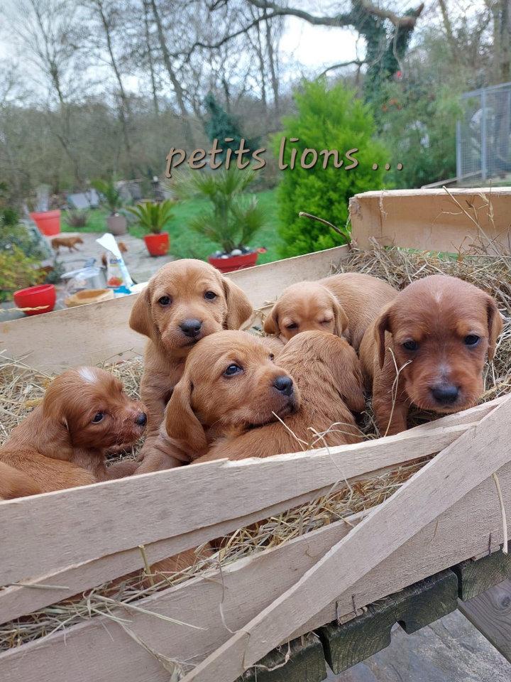 Photo from news post