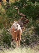 KNP: Easter weekend (5) - 2025