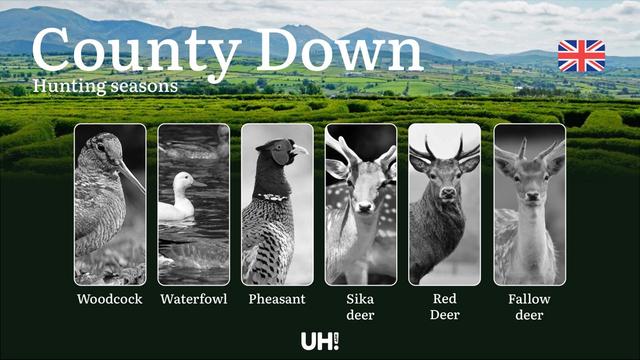 County Down, Pembrokeshire: Seasons, Licenses & Regional Events for Game Management