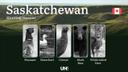 Hunting Seasons in SASKATCHEWAN (Canada): Official Season Periods, Permits & Vital Game Laws

Saskatchewan is a premier destination for hunters, offering diverse game spe