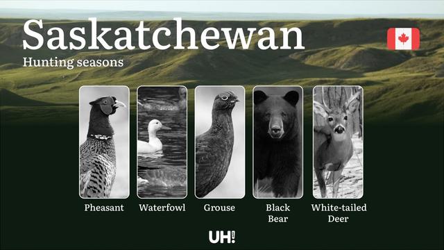 <strong>Hunting</strong> Seasons in SASKATCHEWAN (Canada): Official Season Periods, Permits & Vital Game Laws