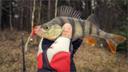 Hunting Perch with Waterfowl Calls

From mid-winter through ice-out, Devils Lake guide Jason Feldner “hunts” perch with a system he says can’t be beat. Relying on highly 