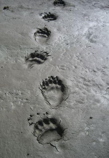 Photo from news post