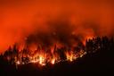 8 Things to Know About Drought and Western Big Game Hunting
With extreme drought conditions in place throughout the West, hunters may be in for a challenging season — but there’s still hope of filling tags

Hunters across the West are welcoming archery season with smokey skies and above-average temperatures. Many states had blazing hot streaks and little to no rain for most of the summer. This created devastating drought conditions and widespread fires. 

More than 95% of the West was in a drought in August. Extreme drought conditions can be found in 14 states, stretching from Minnesota to Washington and down through New Mexico. If you’re planning to hunt out West this year, it’s important to understand how drought affects wildlife and their patterns, and how you can use the conditions to your advantage.